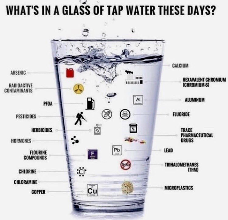 a glass of tap water
