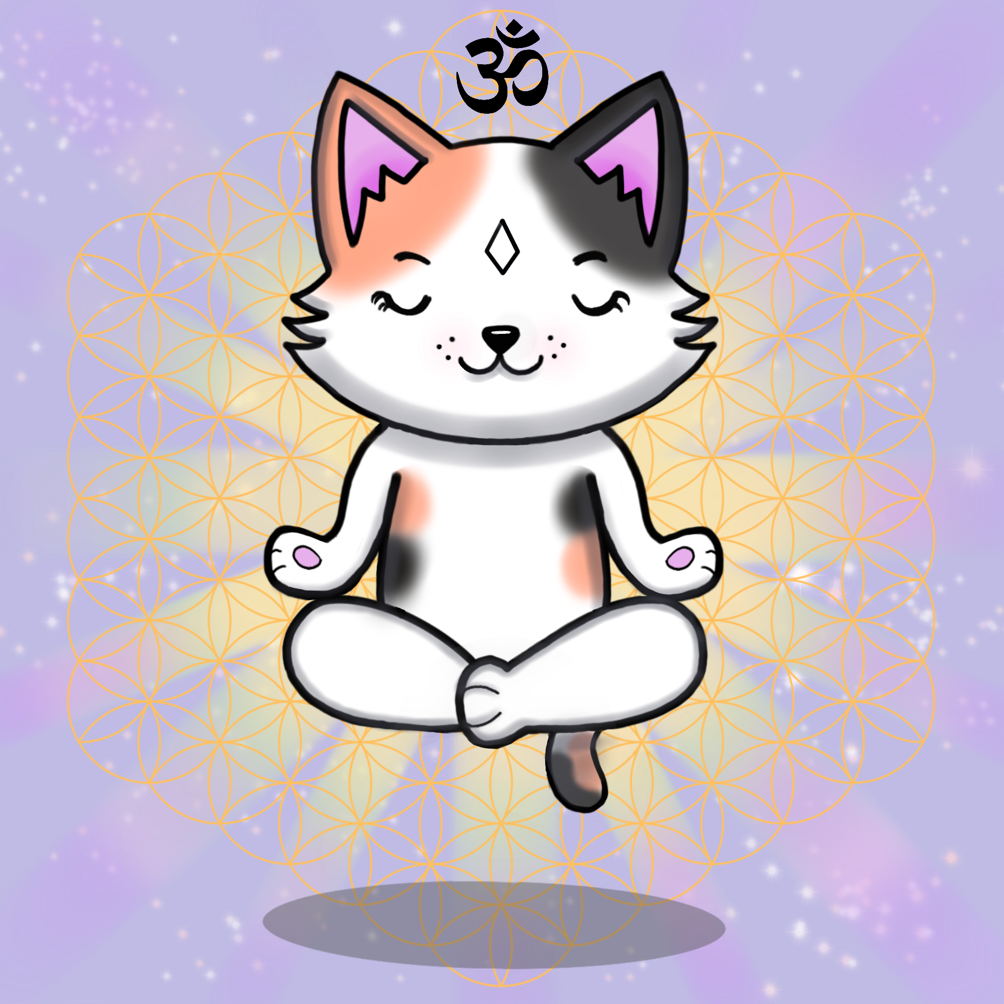 Meditating Kitten 08