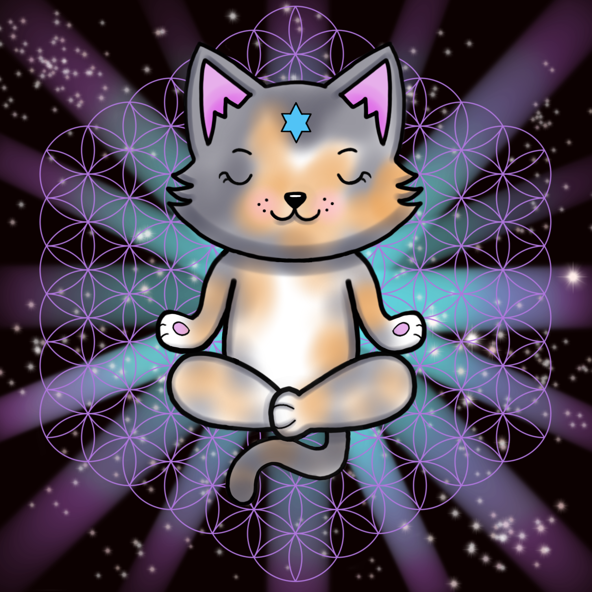 Meditating Kitten 17