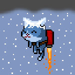 Snowy Cat