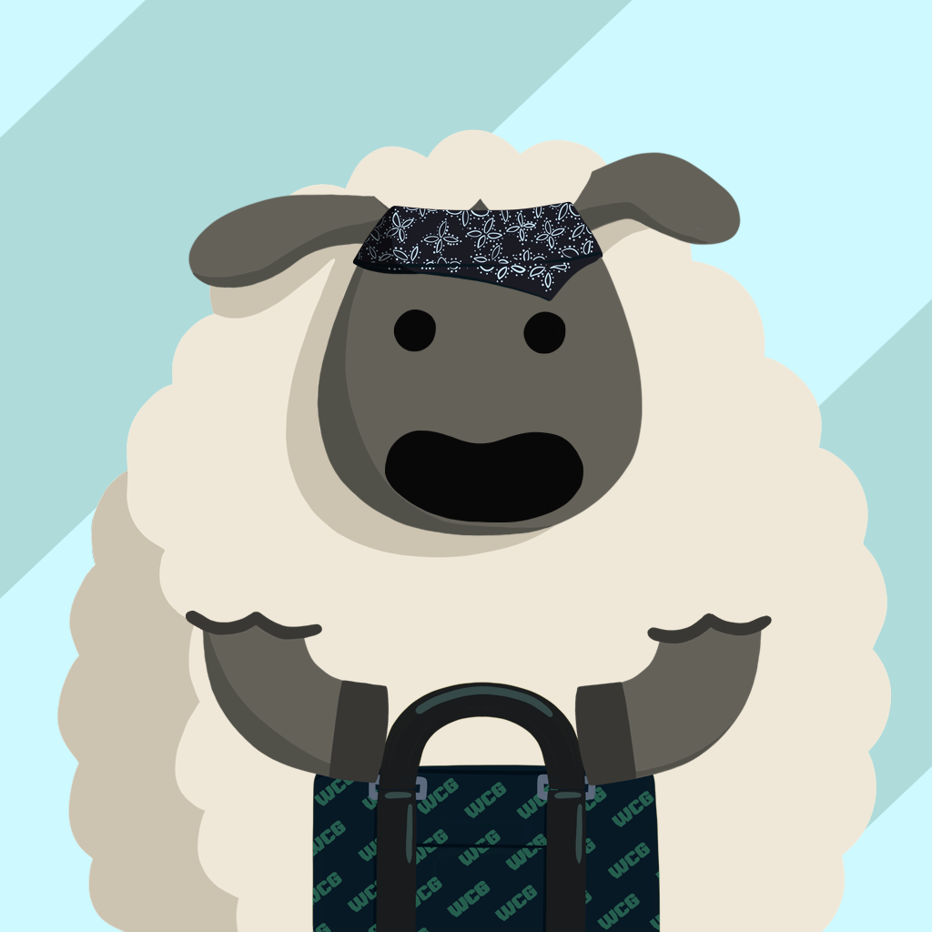 sheep_4327
