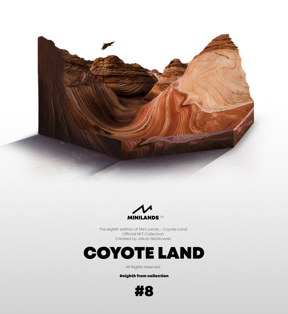 #8 COYOTE LAND