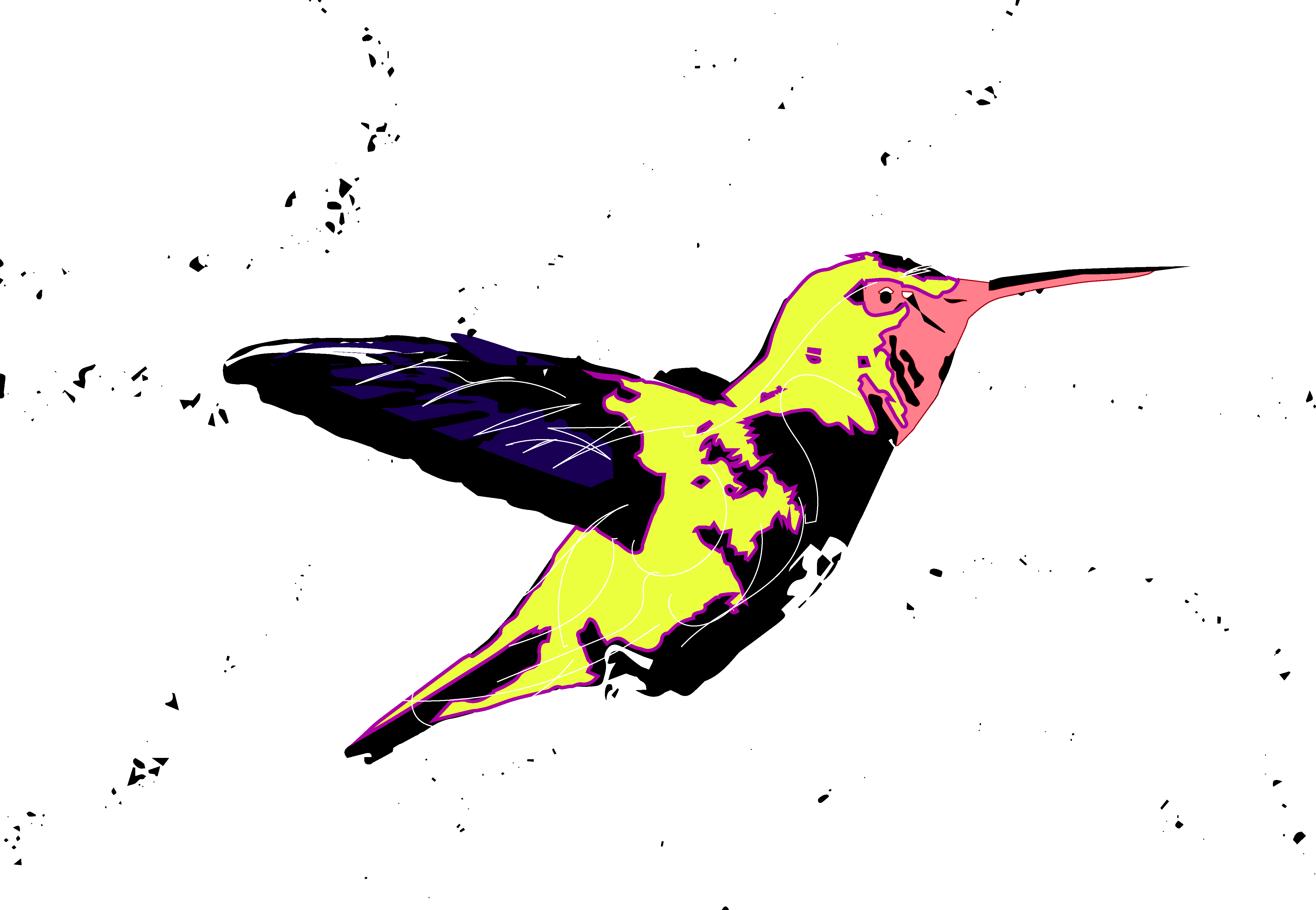 Pink Hummingbird #3