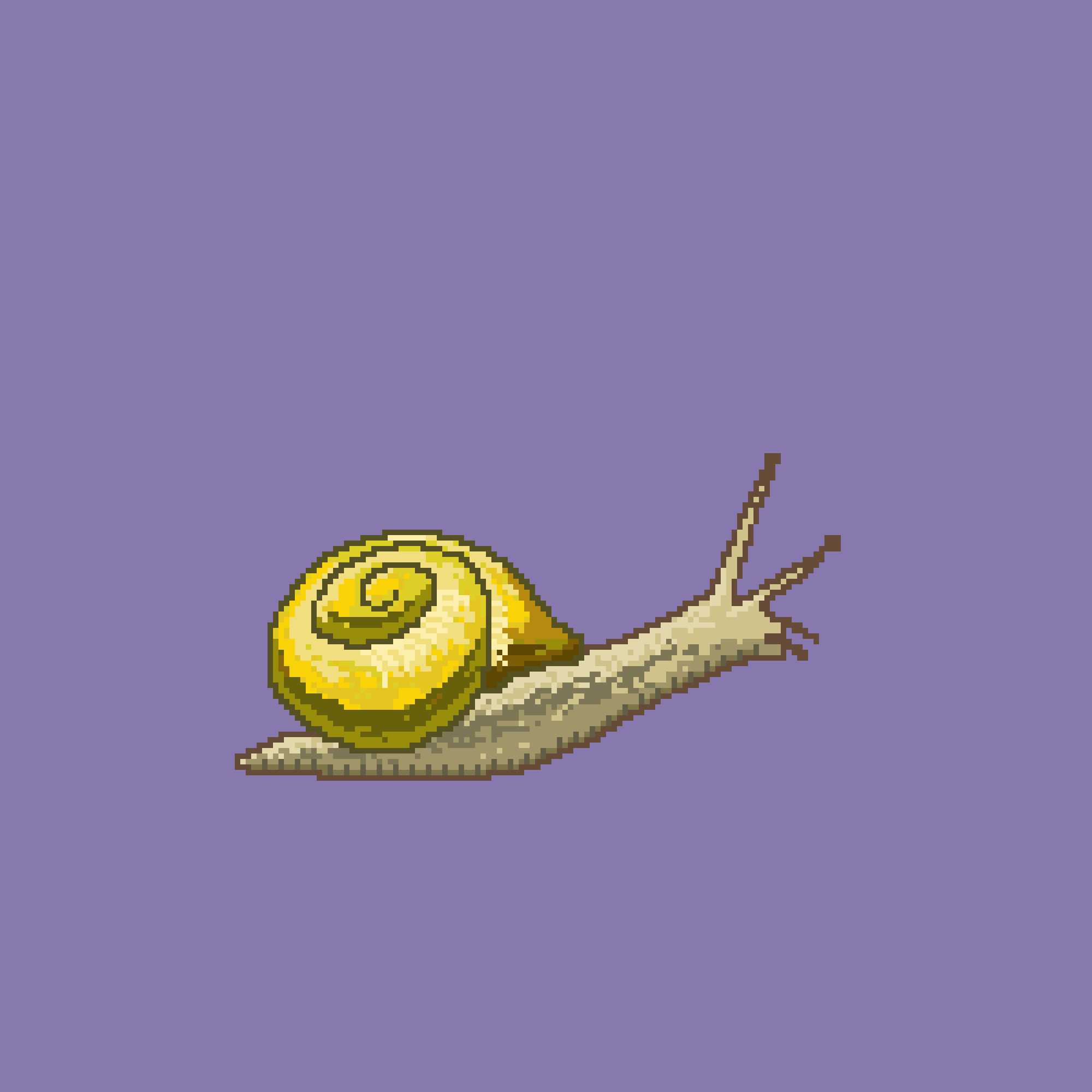 A Boring Snail