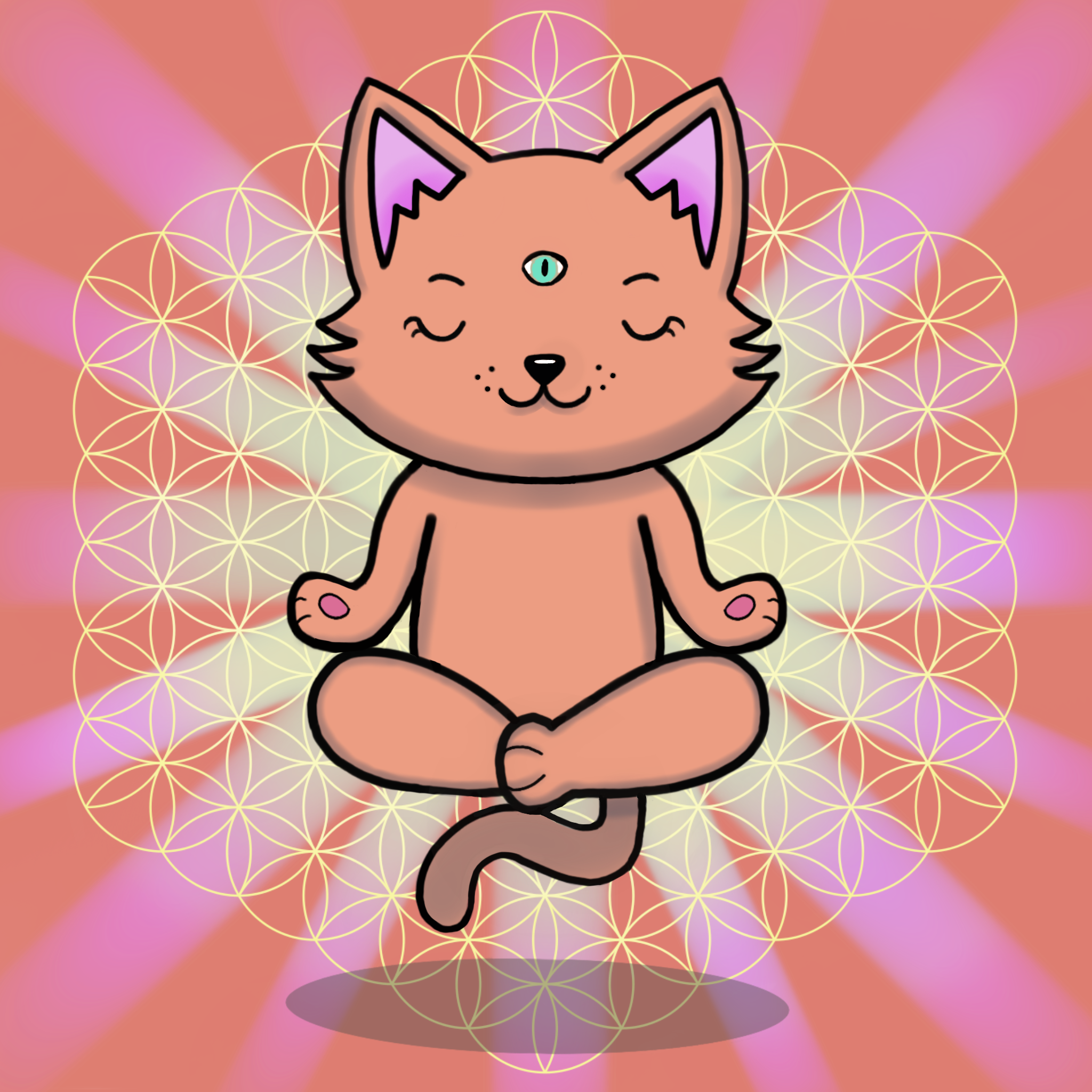 Meditating Kitten 21