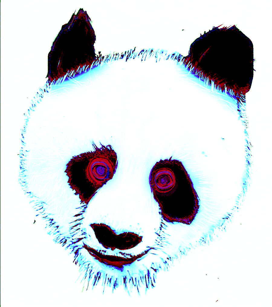 Panda Hominid