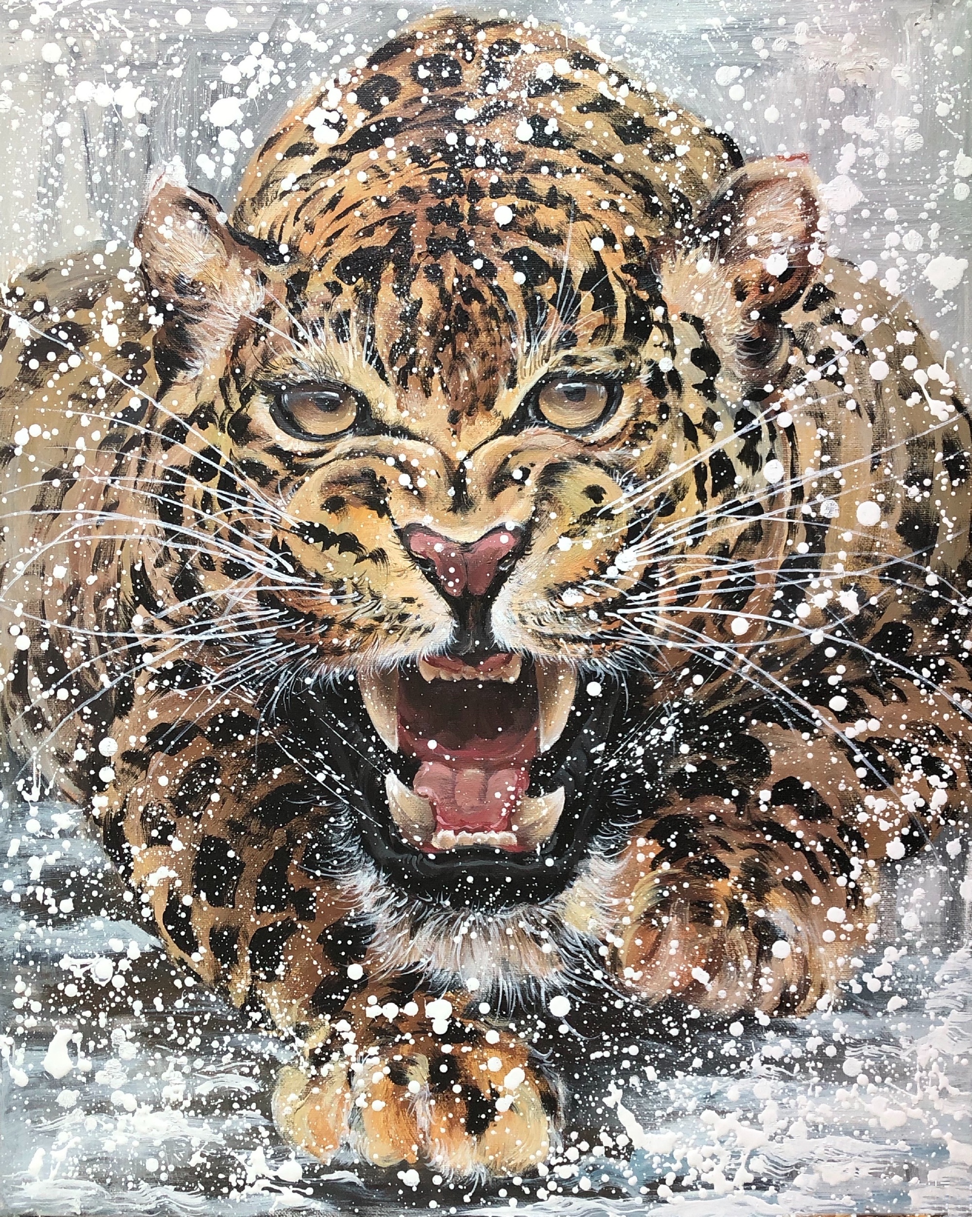 Leopard in the snow