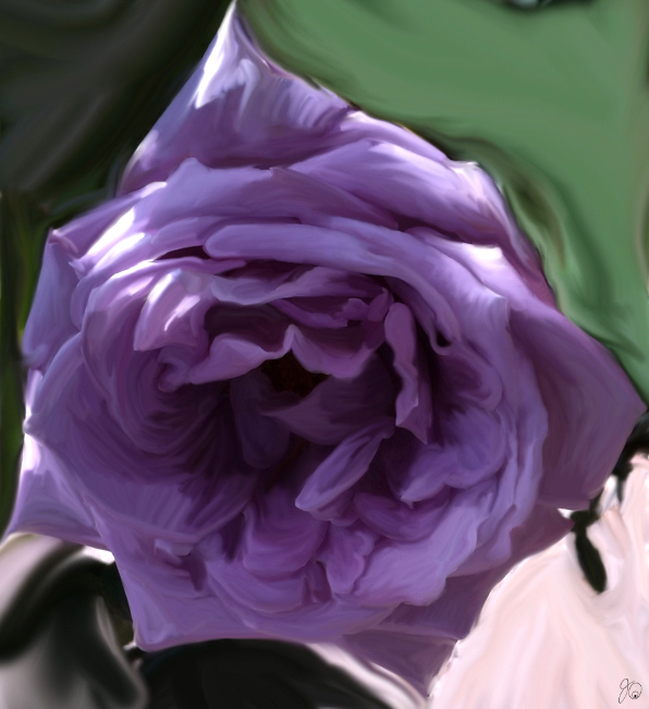 Purple Rose 🌹
