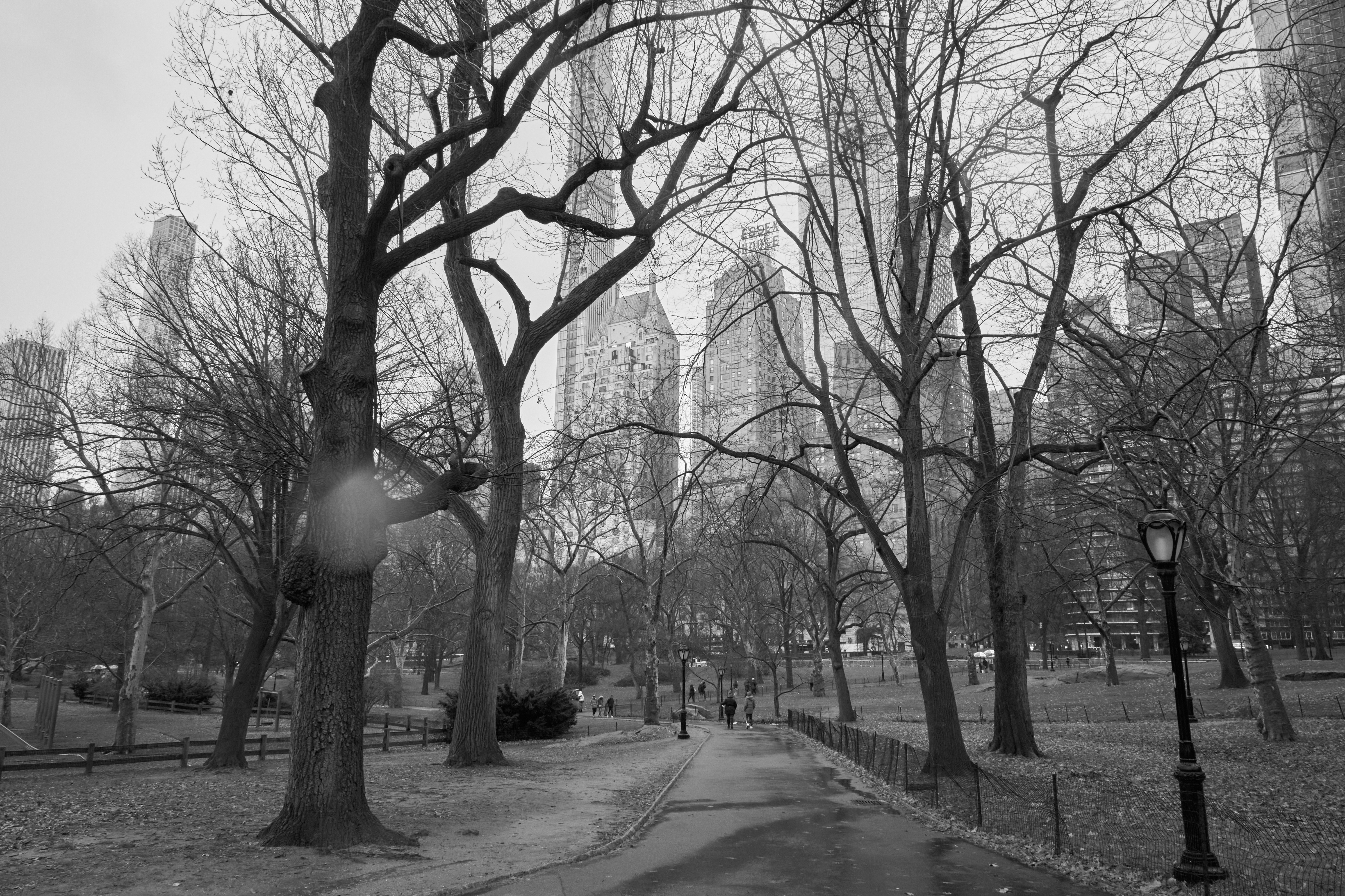 Central Park - NY2019 #23