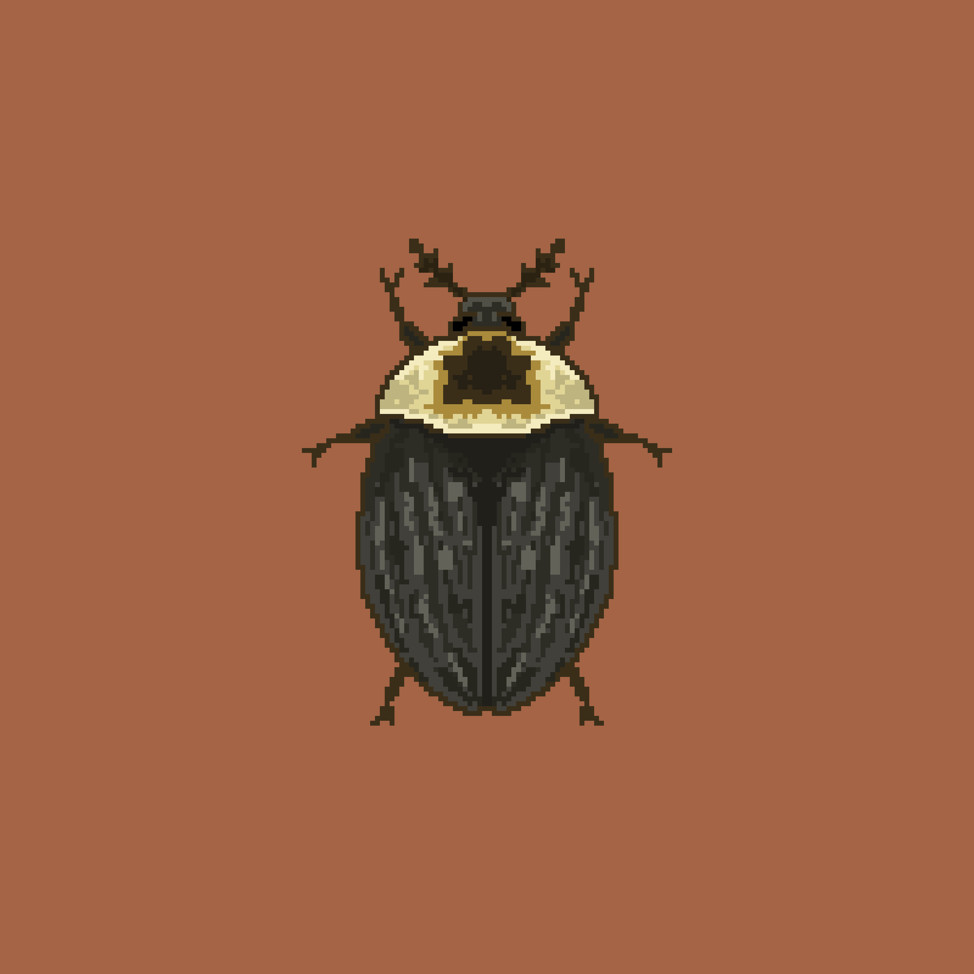 A Boring Beetle