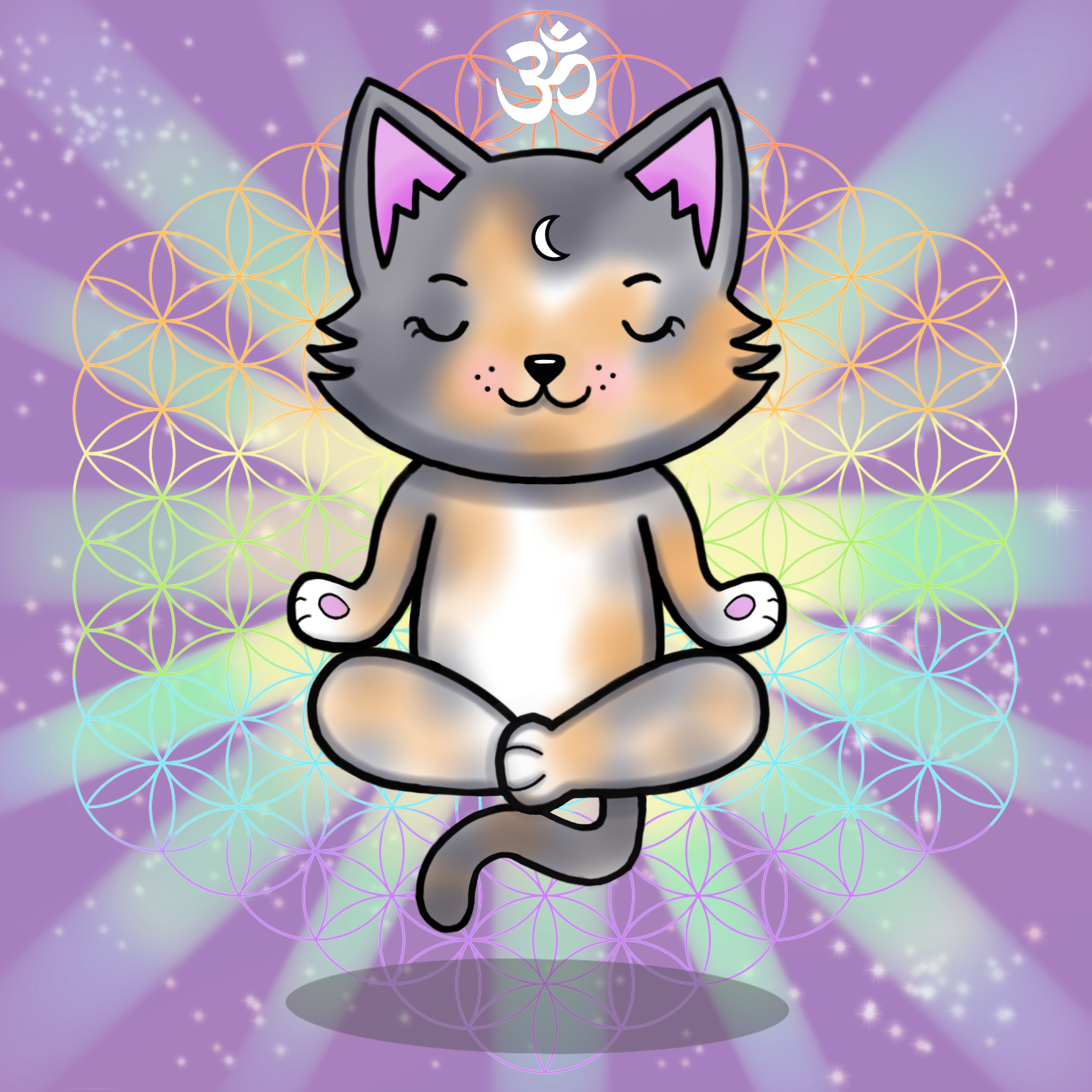 Meditating Kitten 15