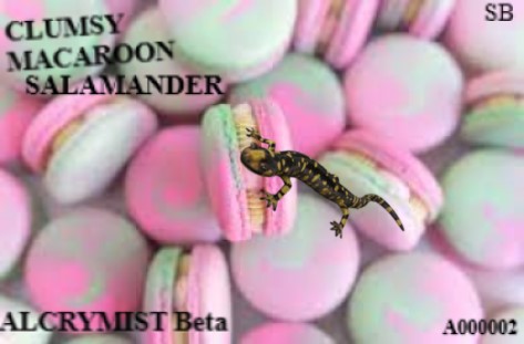 Clumsy Macaroon Salamander