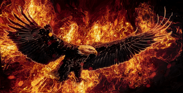 Eagle Ablaze 1