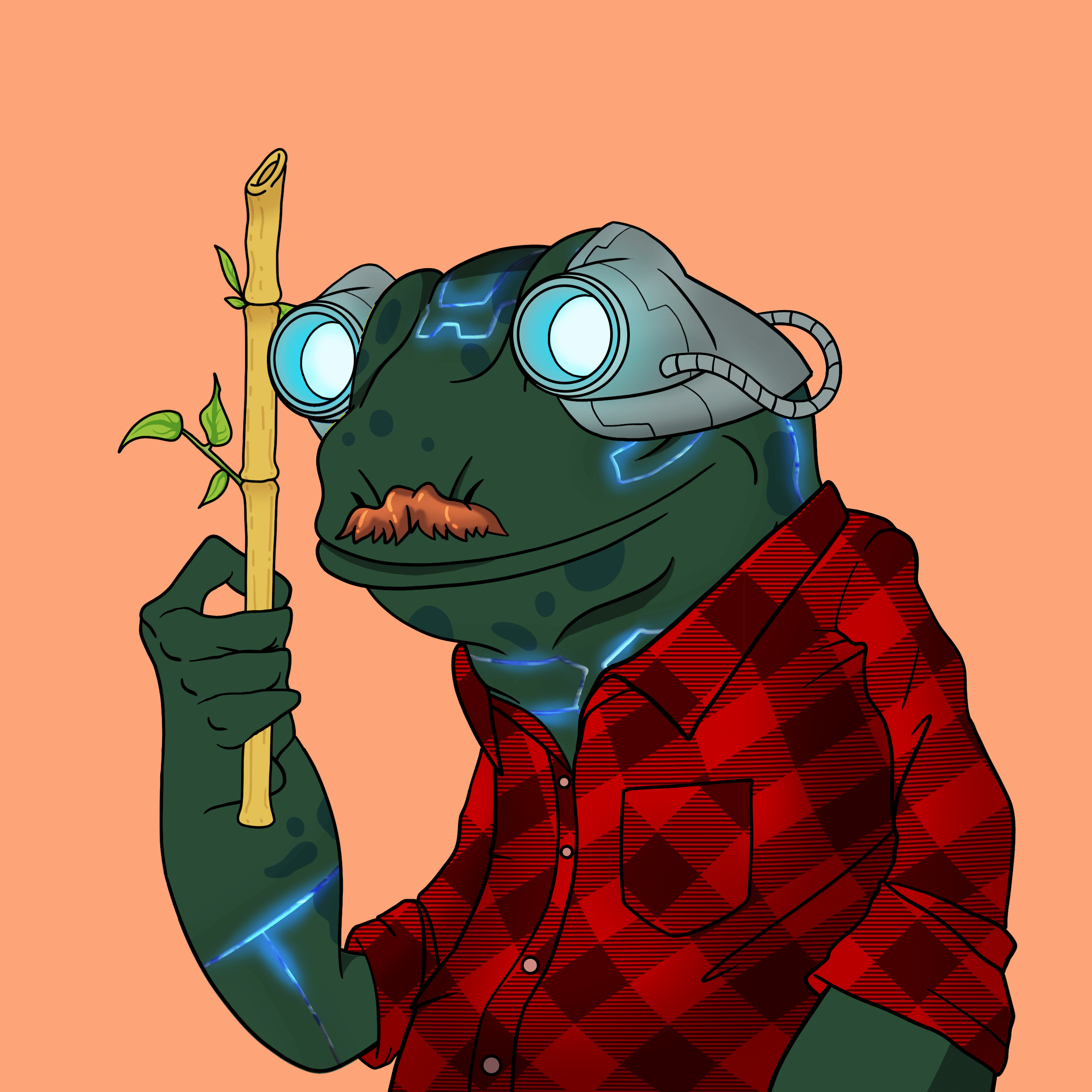 Frog #6377