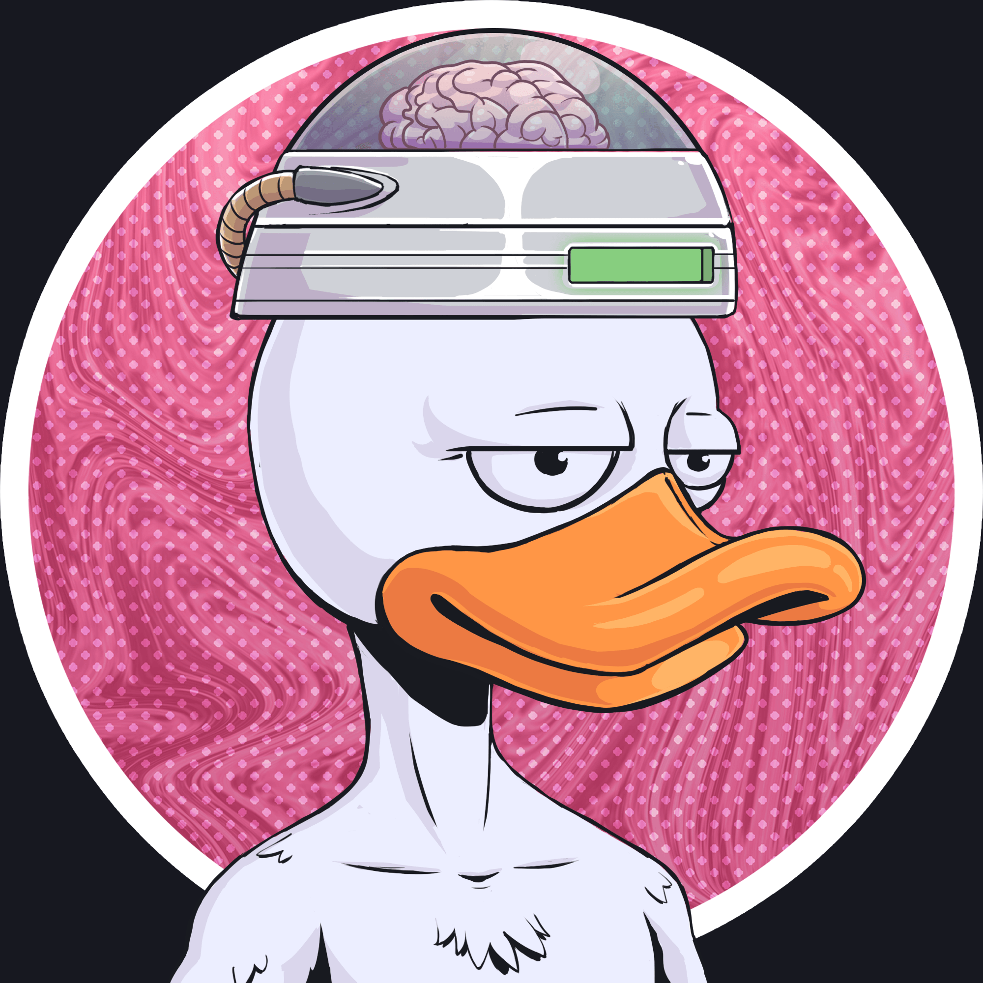 Duck #5171