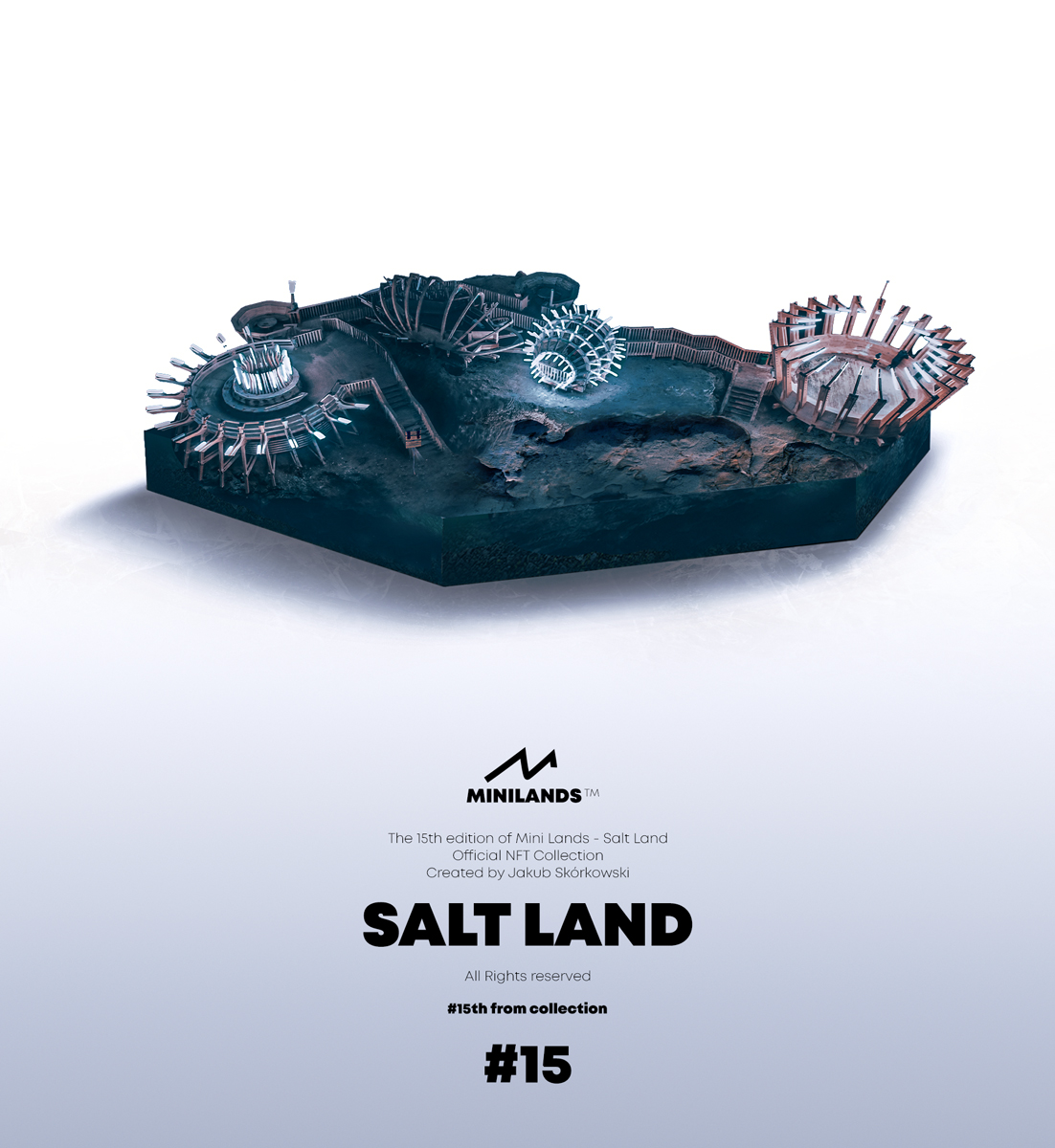 #15 SALT LAND